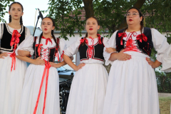 IMG_6077_1024x683