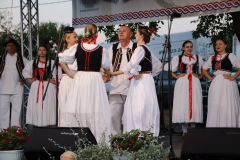 IMG_6125_1024x683