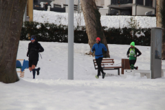 IMG_7273_1024x683