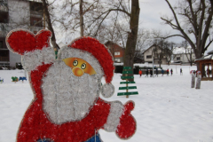 IMG_7308_1024x683
