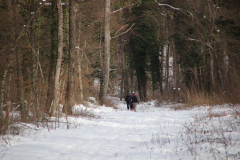 IMG_7313_1024x683