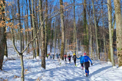 viber_slika_2026-01-11_12-24-26-457_1024x768