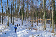 viber_slika_2026-01-11_12-24-26-574_1024x768