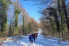 viber_slika_2026-01-11_12-24-34-643_1024x768