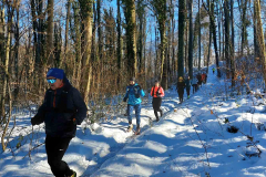 viber_slika_2026-01-11_12-49-34-074