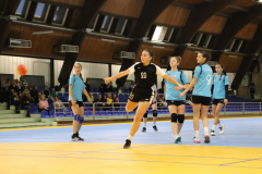 IMG_6224_1024x683