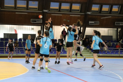 IMG_6226_1024x683