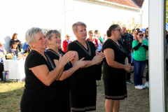 IMG_0643_1024x683