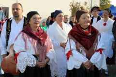 IMG_0673_1024x683