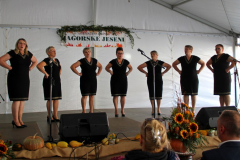 IMG_0678_1024x606