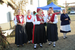 IMG_0687_1024x683