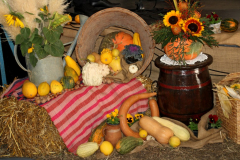 IMG_0701_1024x683