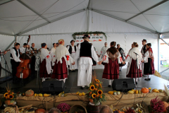 IMG_0703_1024x683