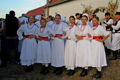 IMG_0719_1024x683