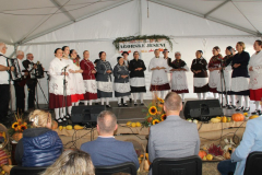 IMG_0752_1024x592