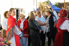 IMG_0784_1024x683