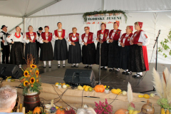IMG_0799_1024x639