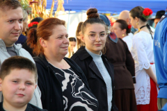IMG_0801_1024x683