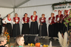 IMG_0809_1024x578