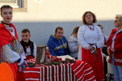 IMG_0815_1024x585