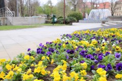 IMG_0066_1024x683