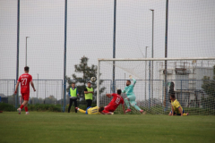 IMG_6089_1024x683