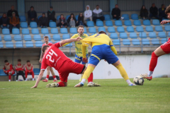 IMG_6106_1024x683