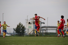 IMG_6137_1024x683