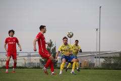 IMG_6142_1024x683