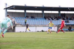 IMG_6146_1024x683