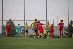 IMG_6201_1024x683