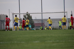 IMG_6211_1024x683