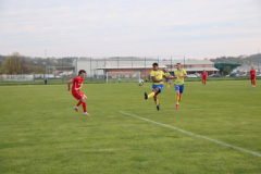 IMG_6249_1024x683