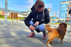 20260411_102358_1024x577