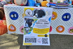 20260411_102616_1024x577