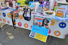 20260411_102726_1024x577