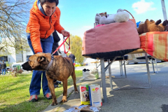 20260411_112607_1024x577