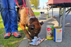 20260411_112634_1024x577