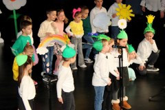 IMG_8847_893x683