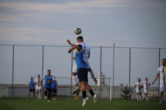 IMG_2374_1024x683