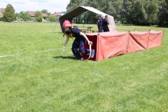 IMG_7466_1024x683