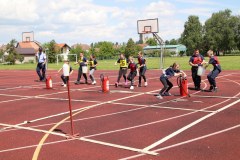 IMG_7599_1024x683