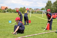 IMG_7680_1024x683