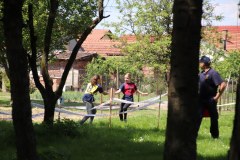 IMG_7694_1024x683