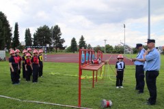 IMG_7879_1024x683