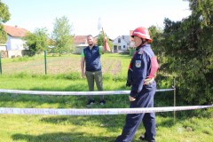 IMG_6915_1024x683