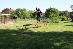 IMG_6923_1024x683