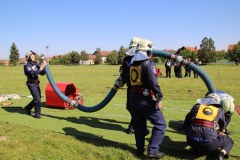 IMG_6955_1024x683
