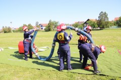 IMG_6998_1024x683