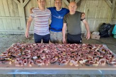 8f760a3e-cf79-4559-8aa9-d583c50a0ae6_1000x750